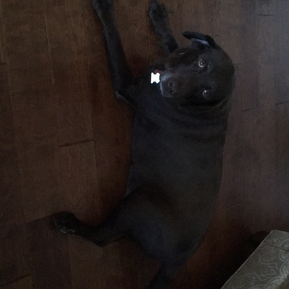 Meet your Posher, Ann